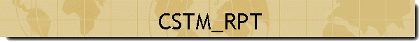 CSTM_RPT